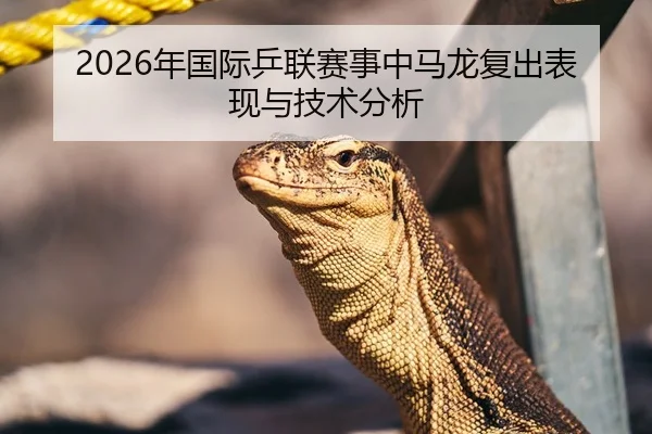 2026年国际乒联赛事中马龙复出表现与技术分析