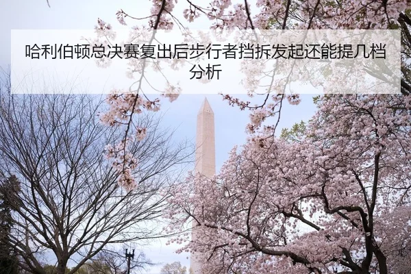 哈利伯顿总决赛复出后步行者挡拆发起还能提几档分析